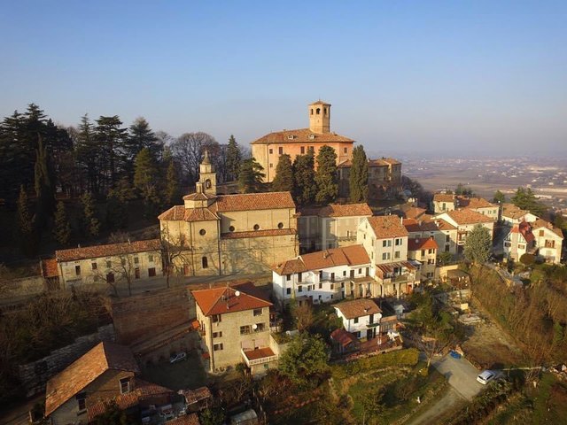 Calamandrana | Il Tenace Soldatino di Stagno