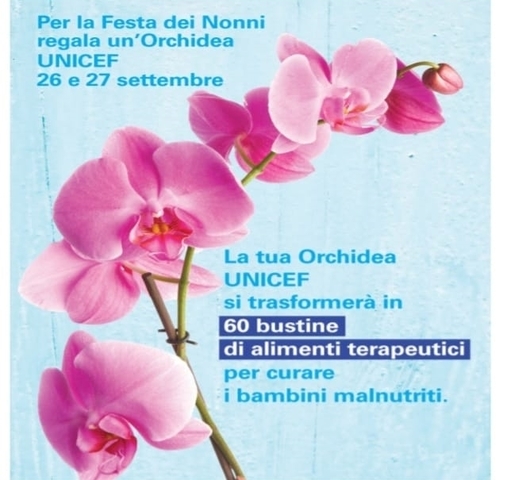 Calamandrana | Orchidea UNICEF 2020