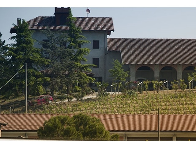 Azienda Agricola Ivaldi Domenico & Walter S.S.